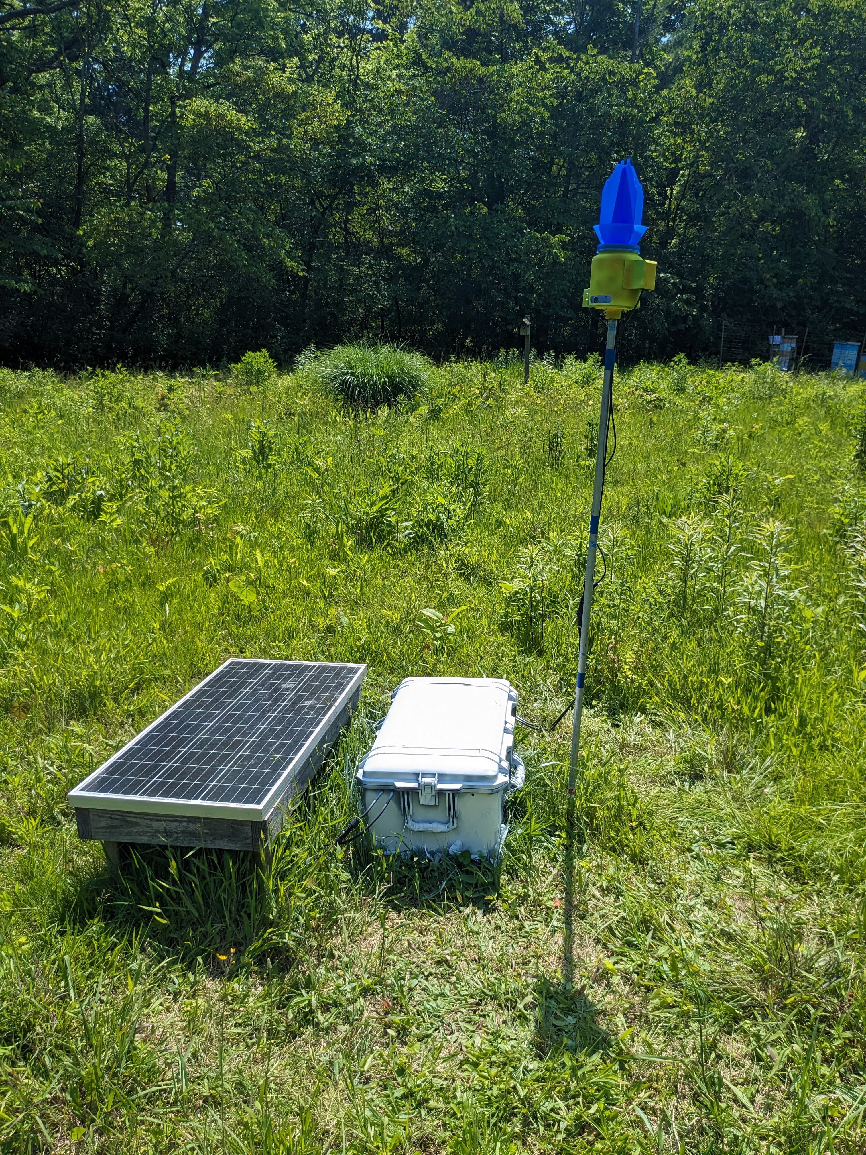 BeeEye deployed in a meadow field