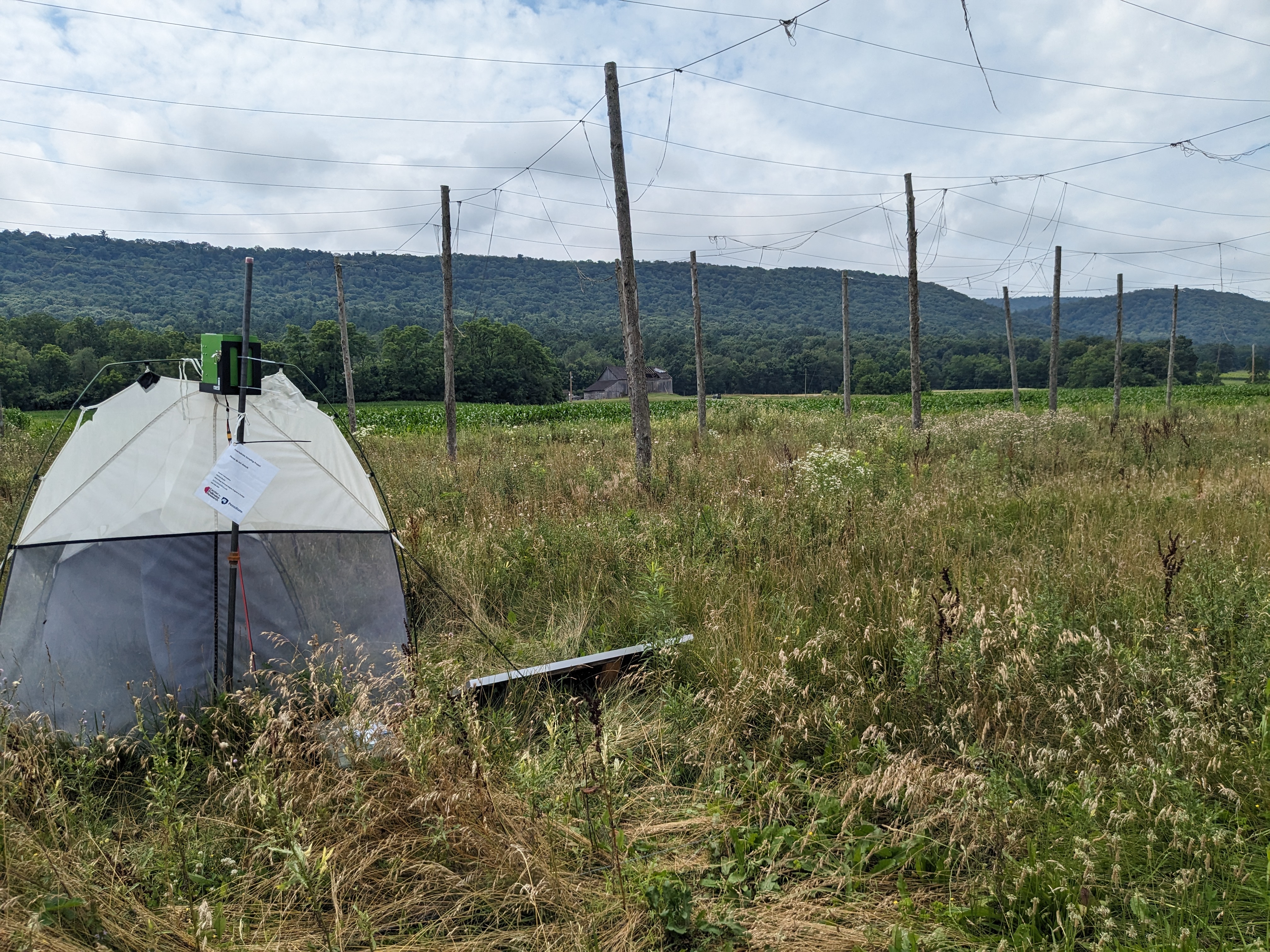 InsectEye deployed in a meadow field